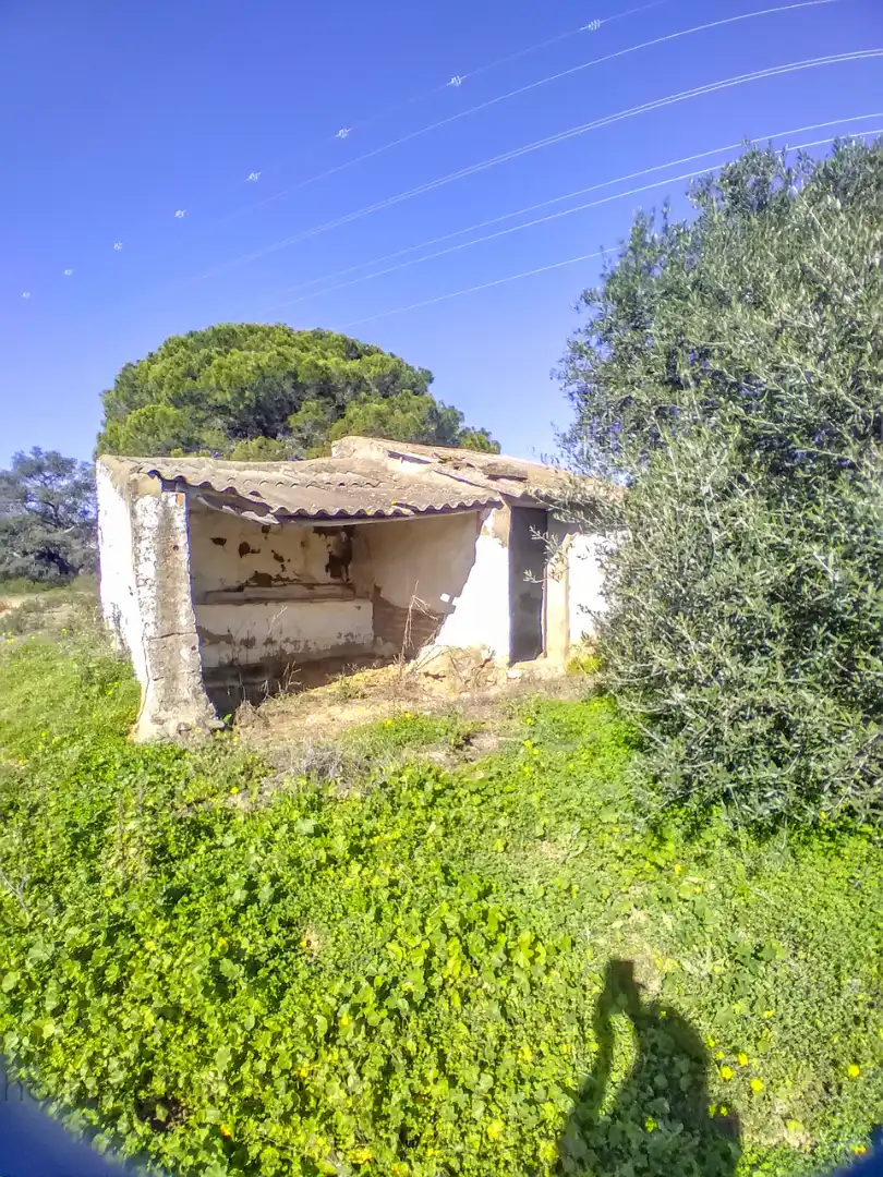 Finca rústica en venda en Villablanca