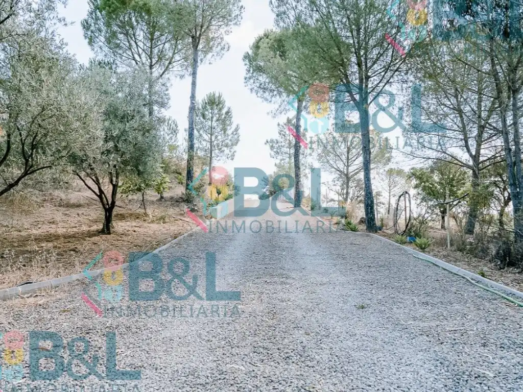 Casa o chalet en venta en Valverde del Camino con Terraza