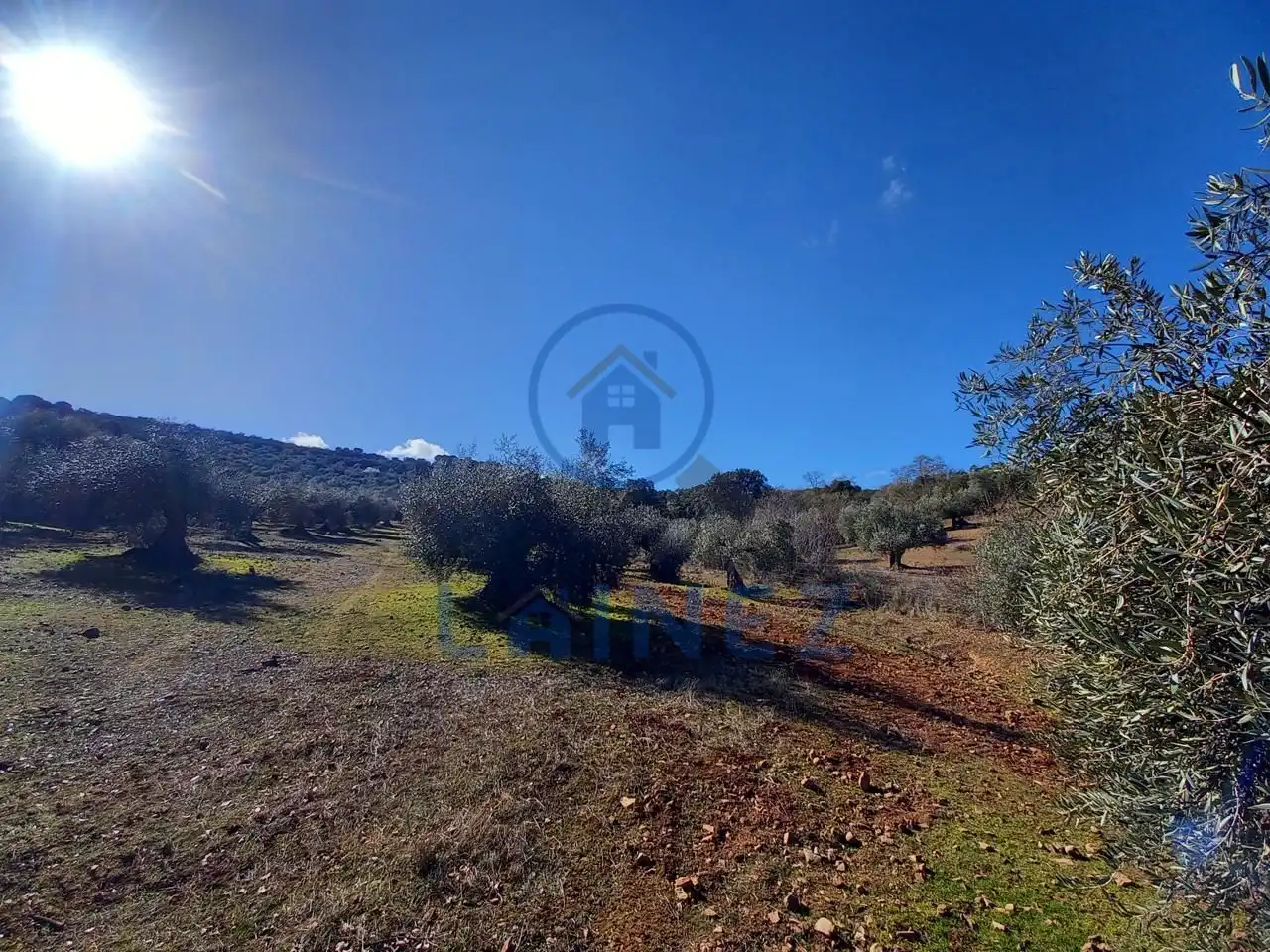 Terreno residenziale in vendita a Villanueva del Rey, imagen 72