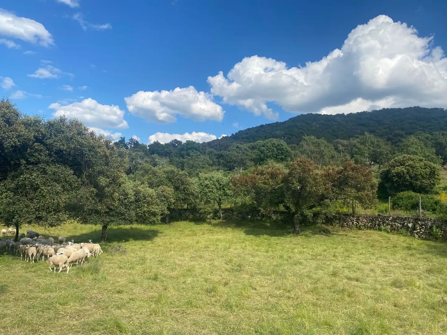 Finca rústica en venta en El Real de San Vicente con Aire acondicionado, Calefacción y Terraza
