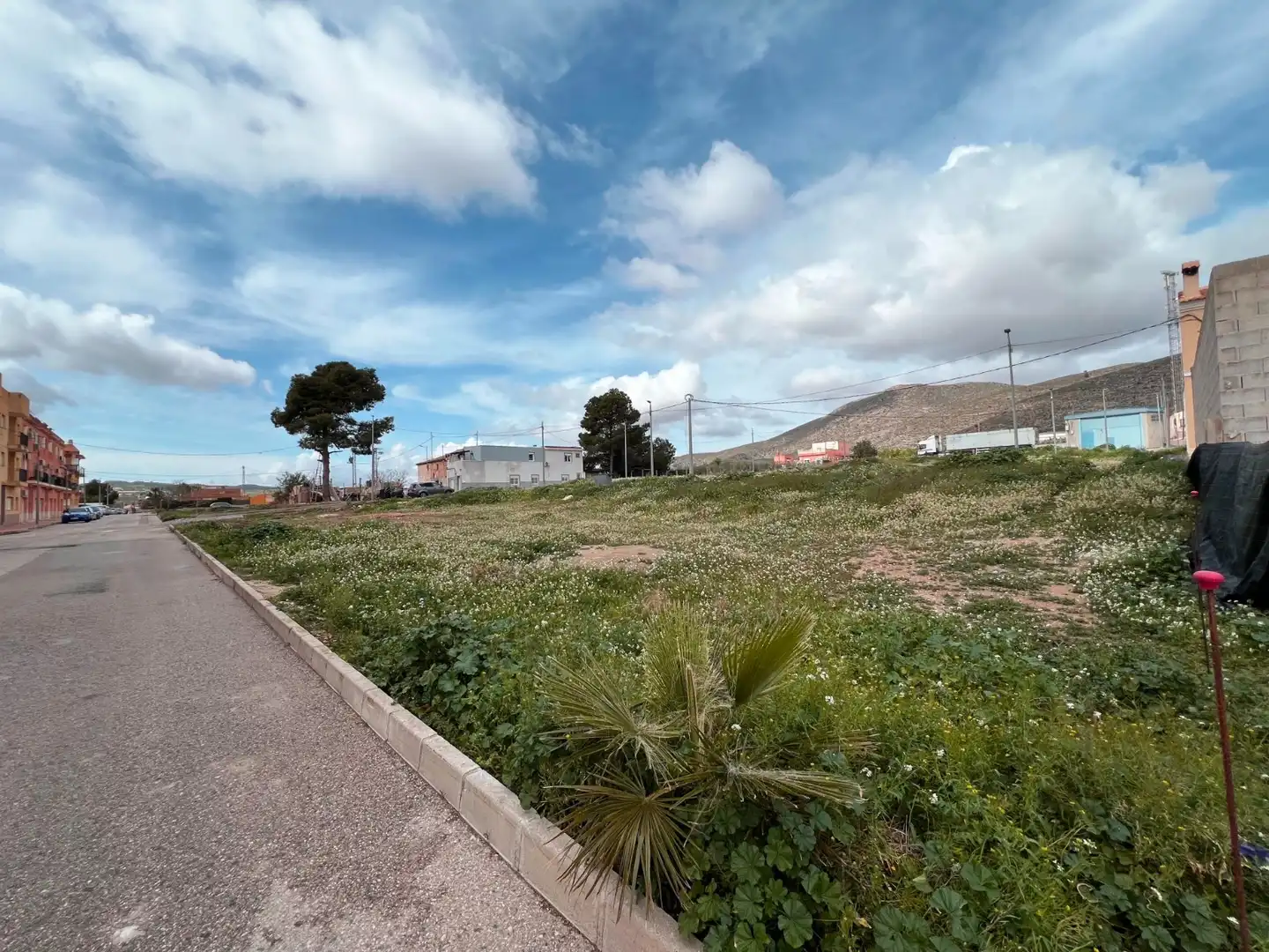 Terreno rustico in vendita a Hondón de los Frailes, imagen 2