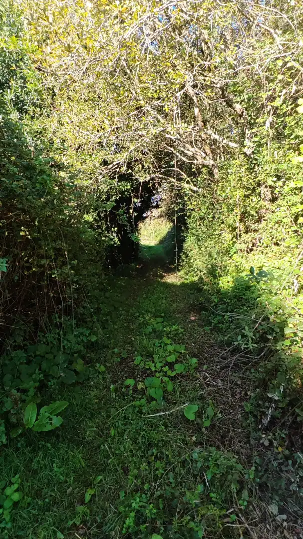 Land for sale in Sada (A Coruña)