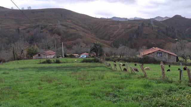 Terreno residencial en Venta en AS-114, 217A en Onís