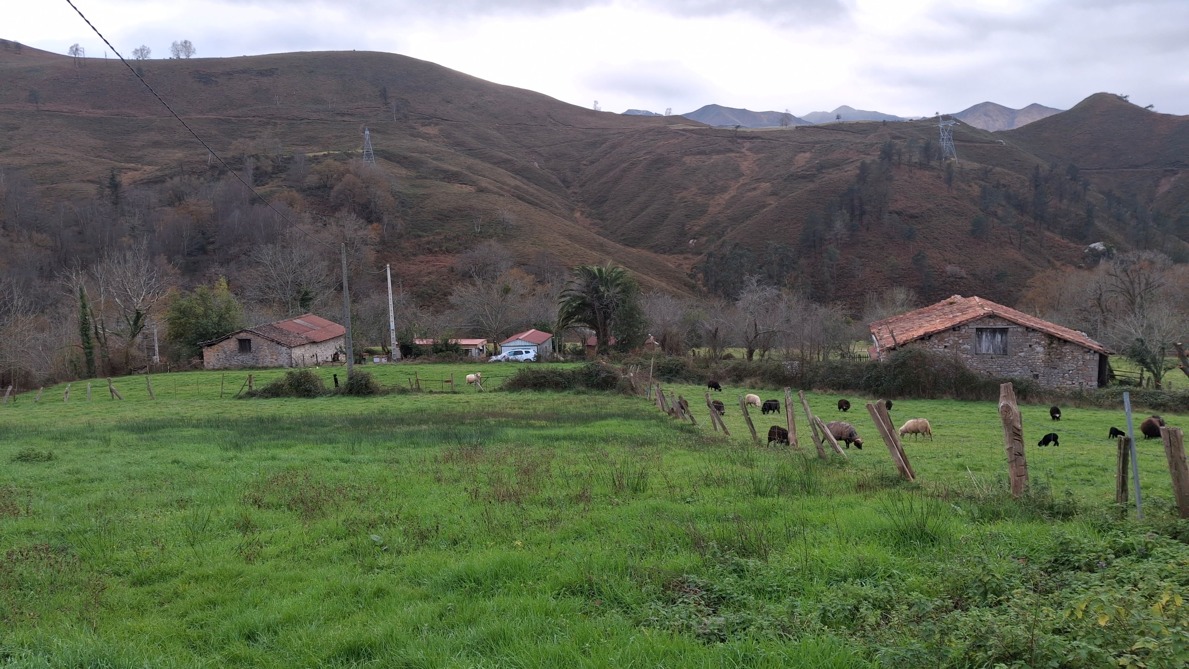 Residential for sale in AS-114, 217A