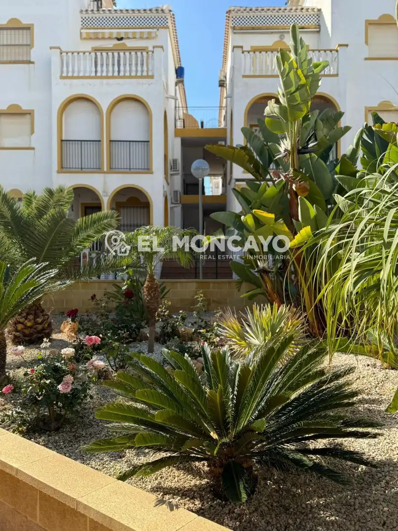 Vista exterior de Casa o chalet en venta en Torrevieja con Jardín privado, Terraza y Trastero
