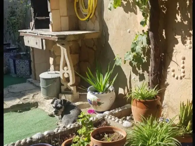 Jardín de Casa o chalet de alquiler en Lagata con Calefacción, Terraza y Amueblado