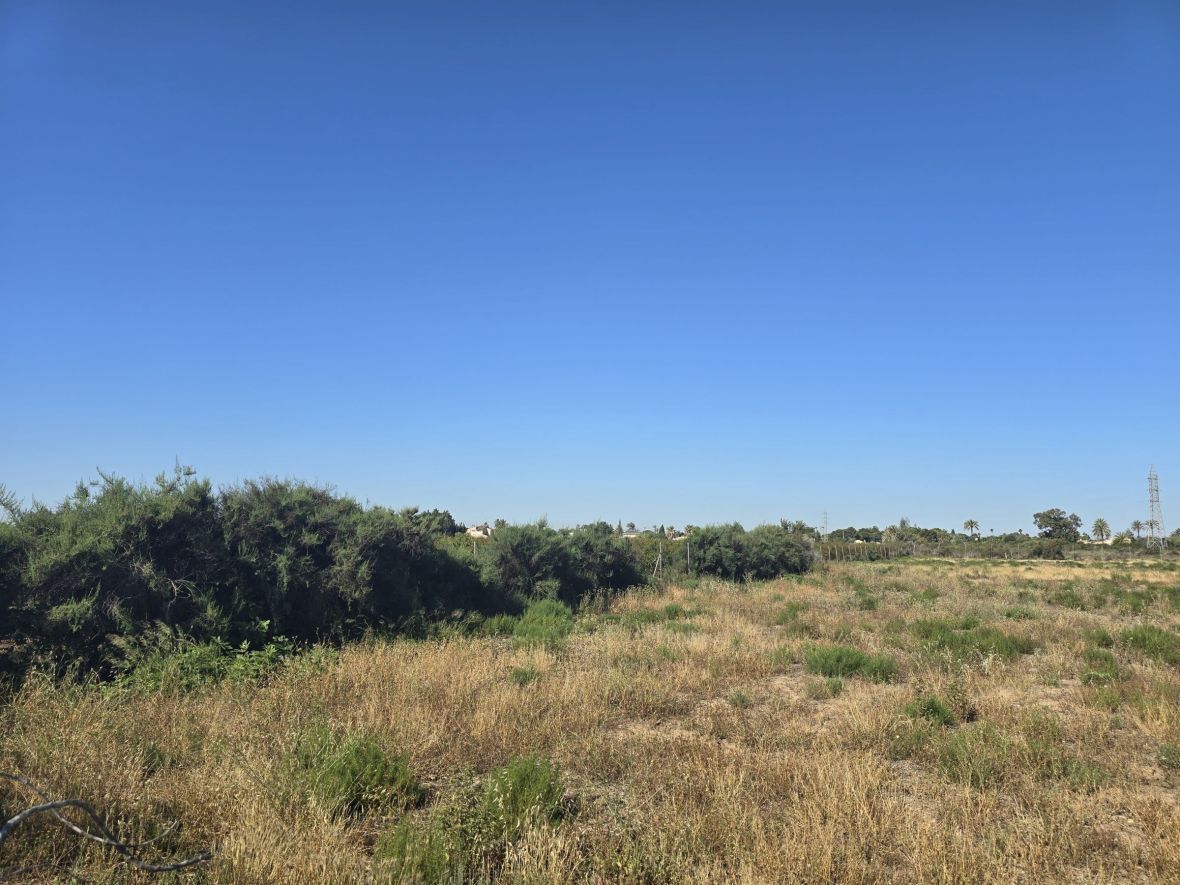 Residencial en venda en Elche / Elx