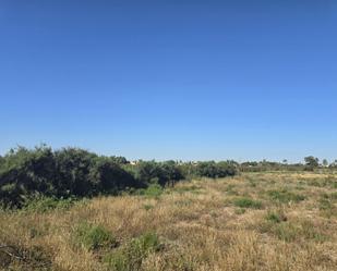Residential for sale in Elche / Elx