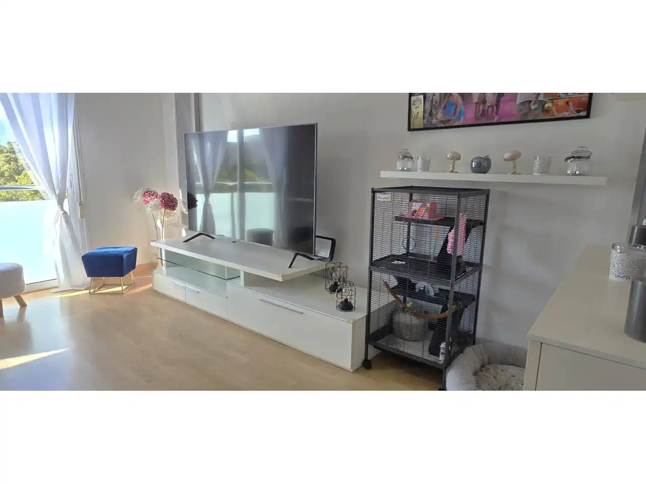 Living room of Detached homes for sale in Roquetas de Mar  with Terrace and Furnished