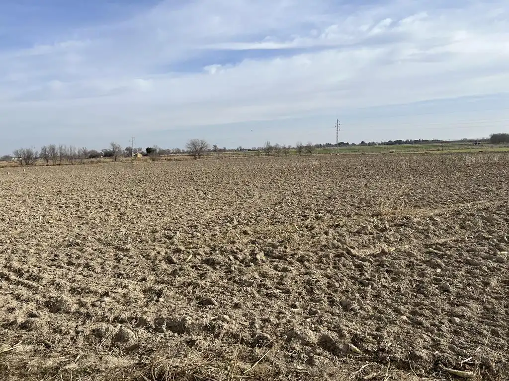 Terreno rustico in vendita a San Pedro, imagen 2