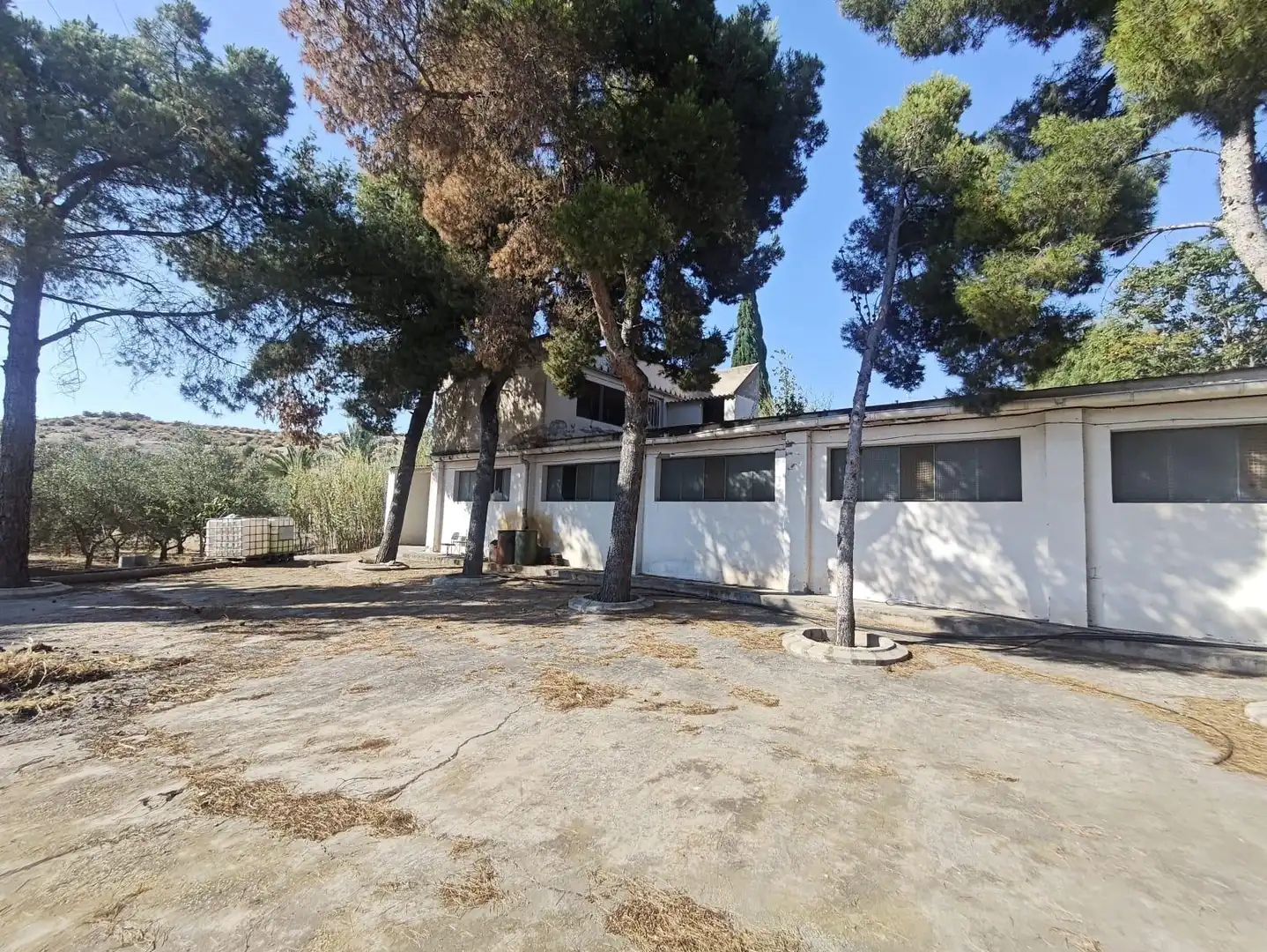 House with pool for sale in Petrer, imagen 65