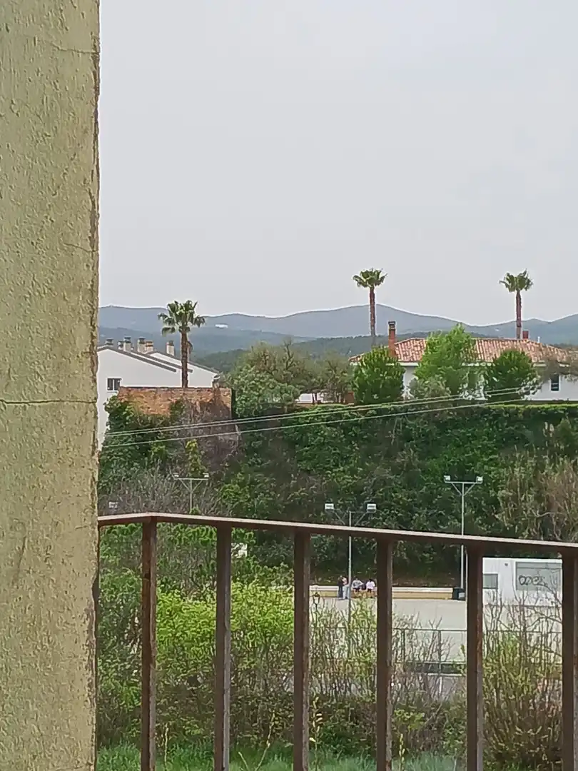 Vista exterior de Finca rústica en venta en Viver