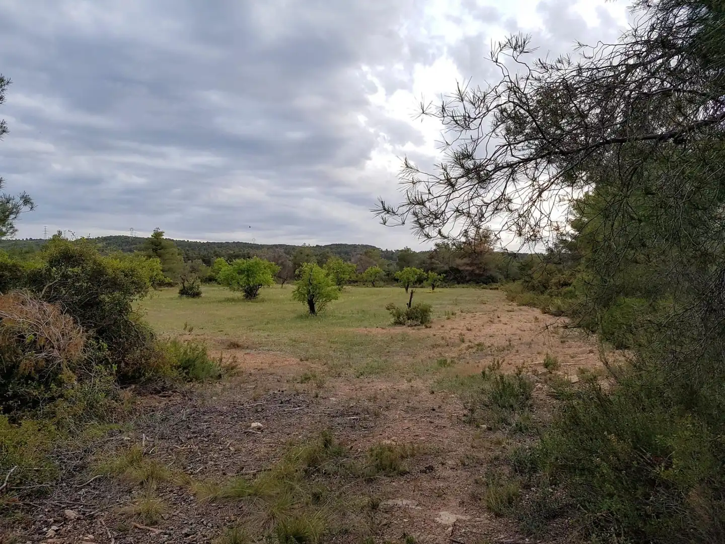 Land for sale in La Pobla de Cérvoles
