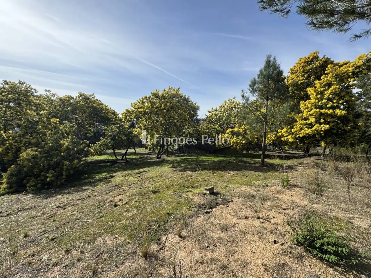 Finca rústica en venda en Tordera amb Jardí privat i Terrassa