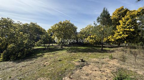 Foto 4 de Finca rústica en venda a Calle Sant Daniel, Mas Mora - Sant Daniel, Tordera