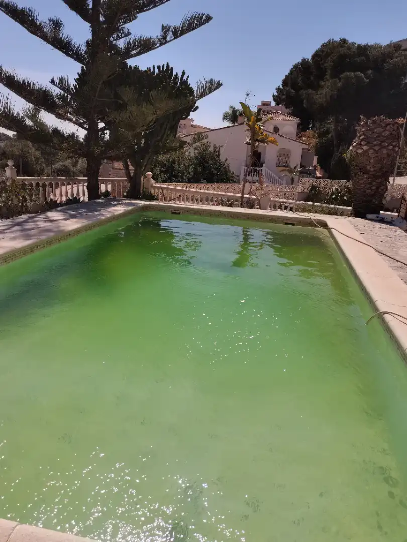 Piscina de Casa o xalet en venda en Málaga amb Calefacció, Jardí privat i Parquet