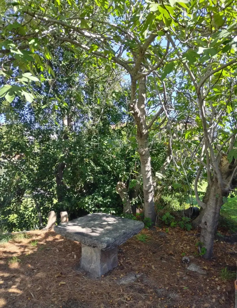 Casa o chalet en venta en Paseo de Recoletos, 32, El Tiemblo