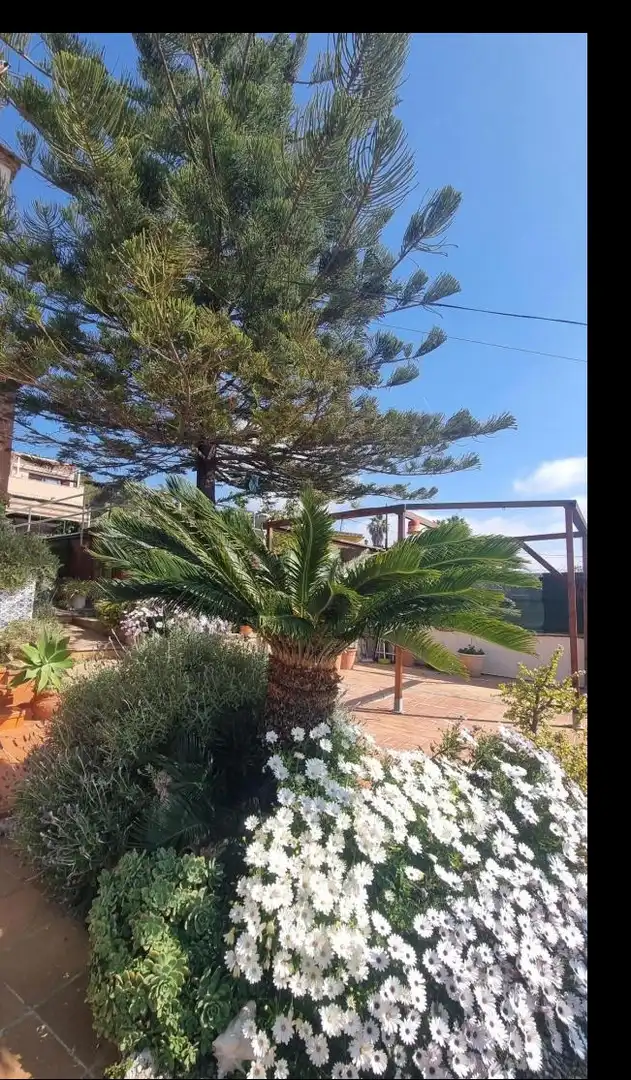 Chalet con terraza en venta en Bellvei, imagen 55