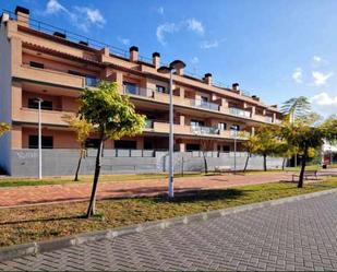 Exterior view of Garage for sale in Beniarbeig