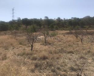 Finca rústica en venda en Abanilla