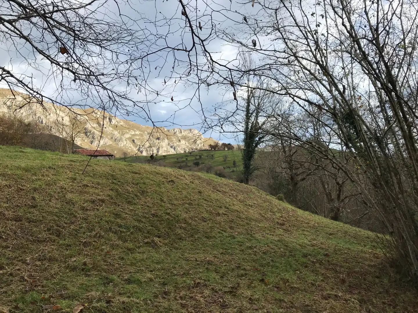 Lands and plots for sale in El Pontón, Rozagas, imagen 26