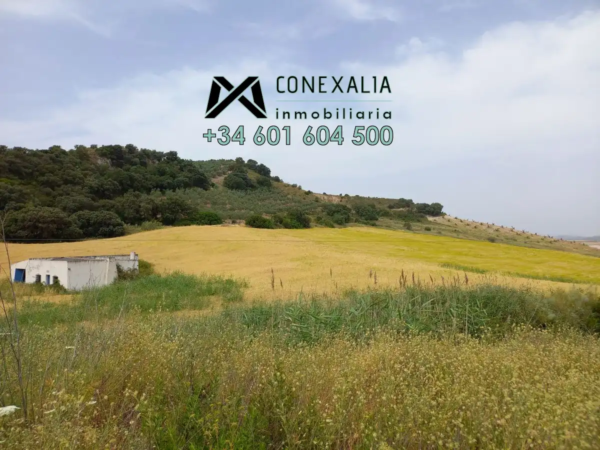 Casa rústica en venda a Camada de los Lobos. Carretera a-363 Moron-Pruna, imagen 4