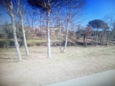 Terreno residenziale in vendita a Carrer de l'Avet