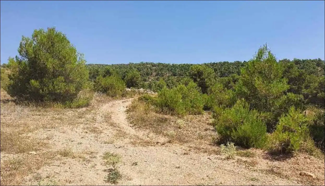 Terreno rustico in vendita a C/ Dehesa de Mojón Blanco, imagen 2
