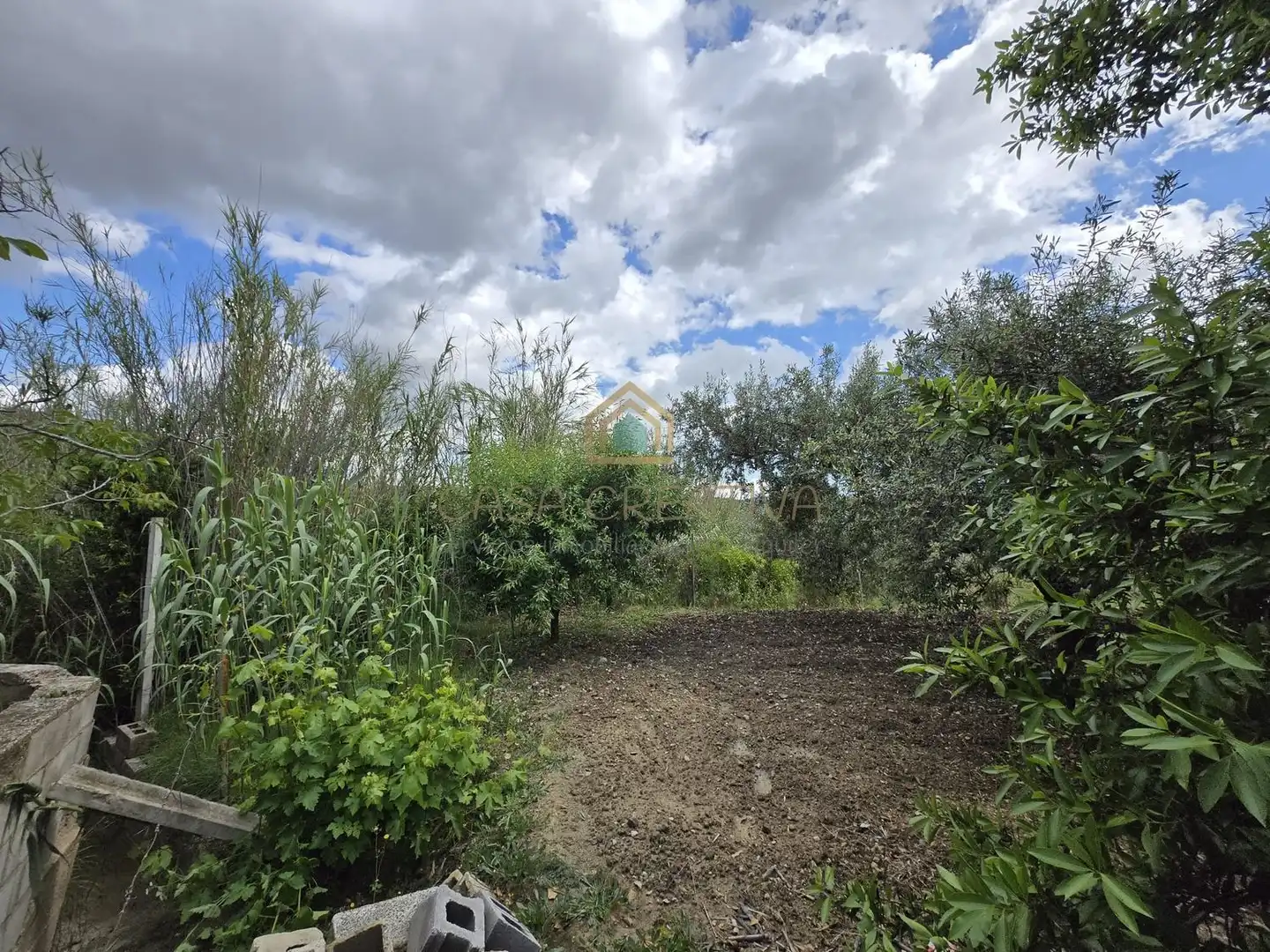 Xalet amb piscina en venda a POLIGONO 15, PARCELA 295, EL RINCON 0, imagen 73
