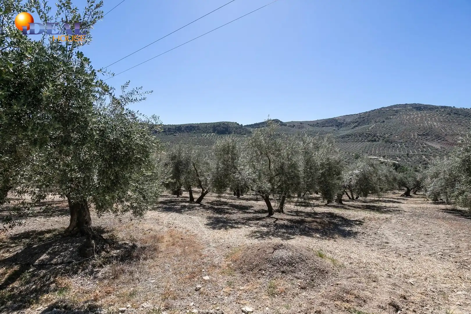 Casa rustica con terrazza in vendita a Montefrío, imagen 39