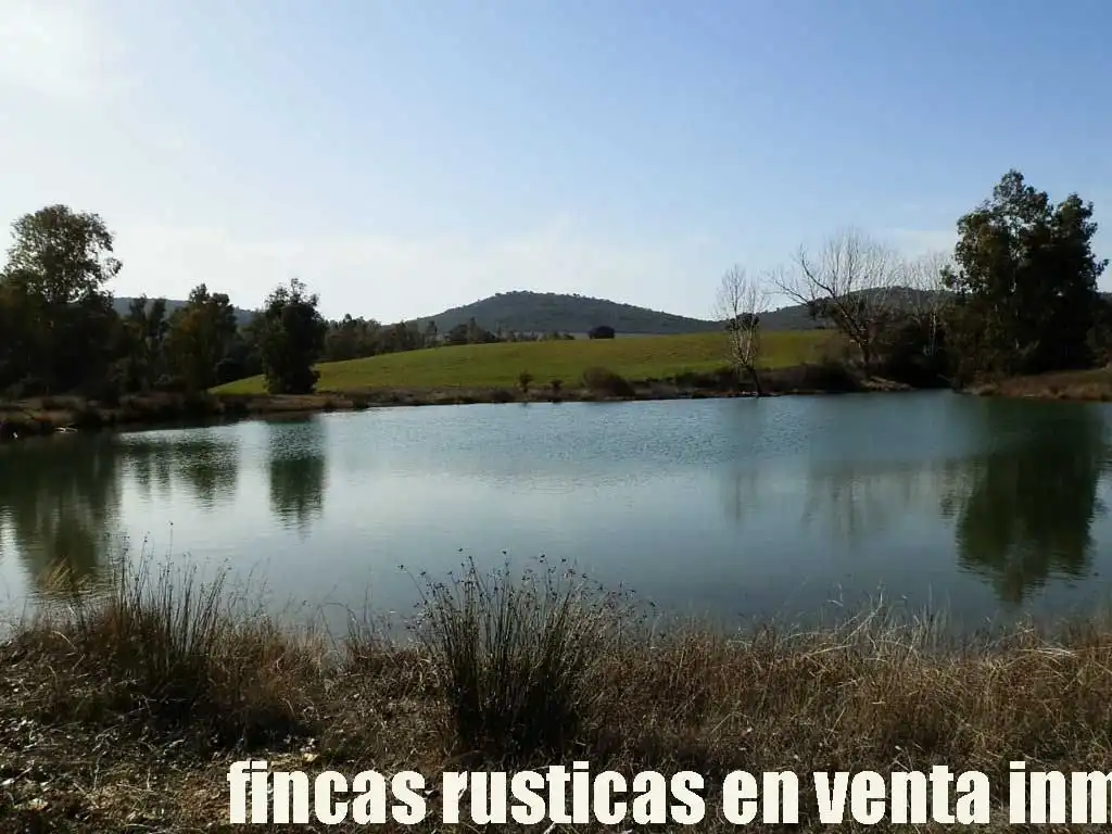 Terreny rústic en venda a Puebla de Don Rodrigo, imagen 11