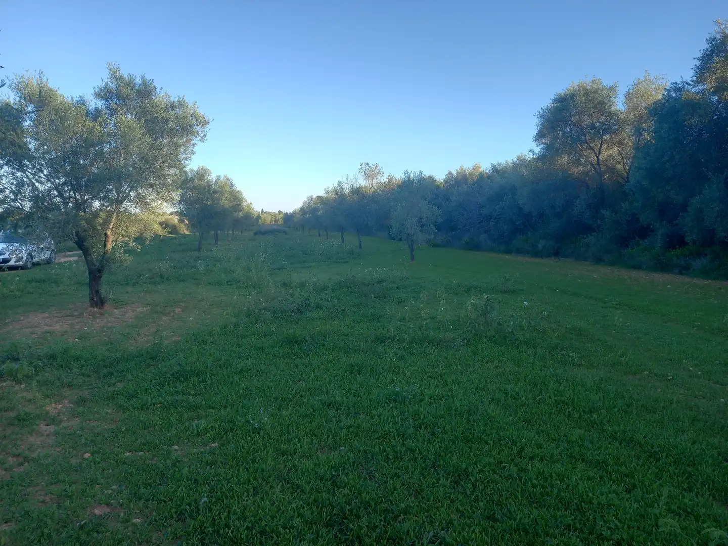 Terreny rústic en venda a Càlig, imagen 11