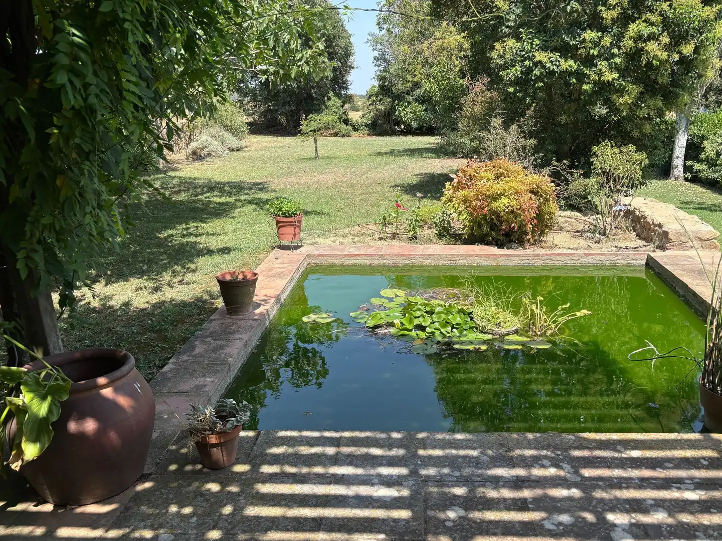 Swimming pool of Country homes for sale in Corçà  with Heating, Private garden and Terrace