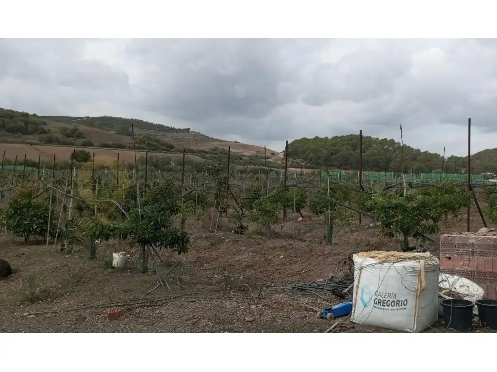 Terreny residencial en venda a Paterna de Rivera, imagen 2