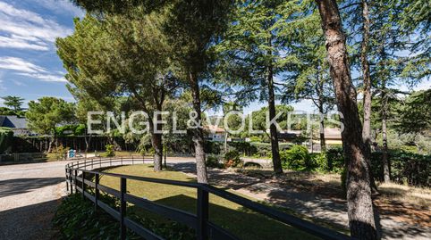 Foto 4 de Casa o chalet de alquiler en Parquelagos - Puente Nuevo, Galapagar