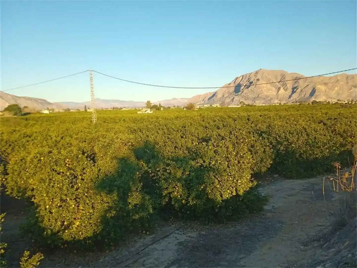 Vista exterior de Terreno en venta en Orihuela
