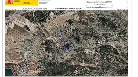 PARCELA POLÍNGO 29 PARCELA 91 RINCON SECANET MONÓVAR, imatge 2