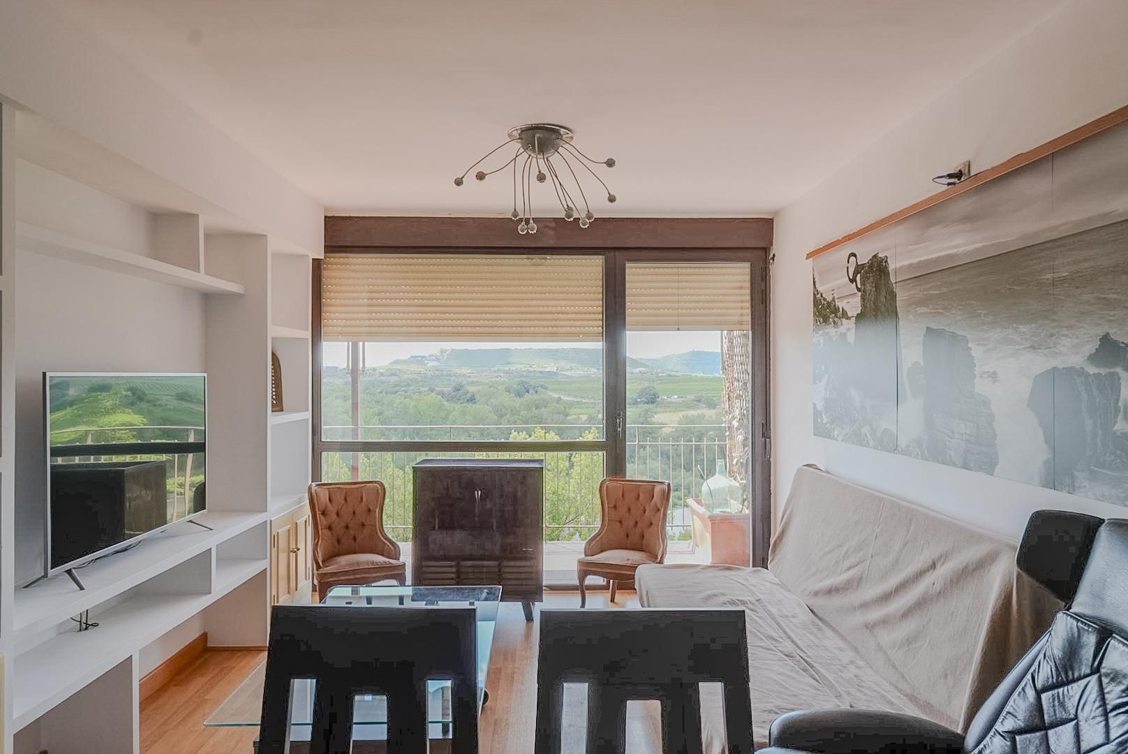 Living room of Flat for sale in Lanciego / Lantziego  with Private garden, Parquet flooring and Terrace