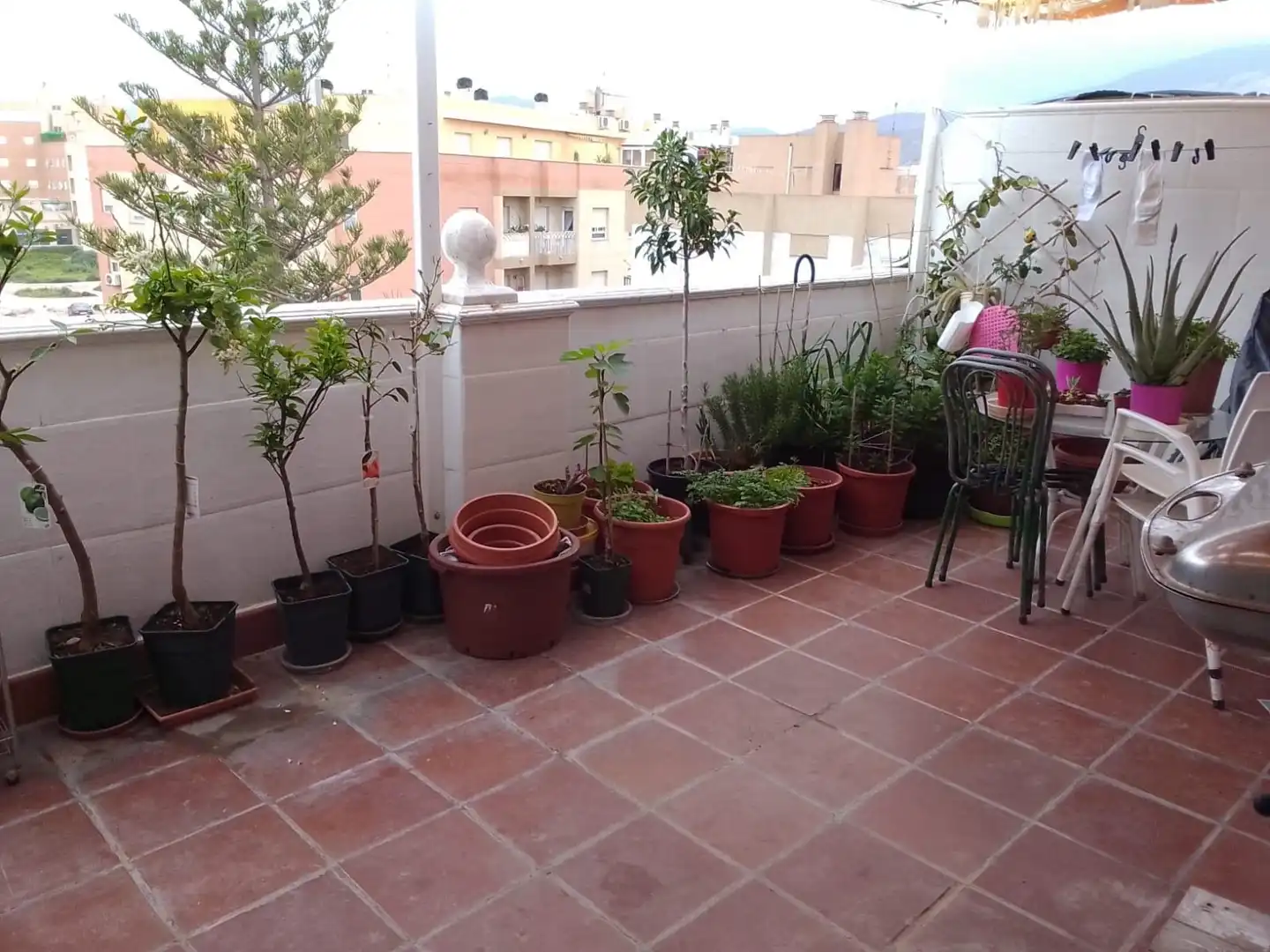 Terrassa de Àtic en venda en El Ejido amb Terrassa