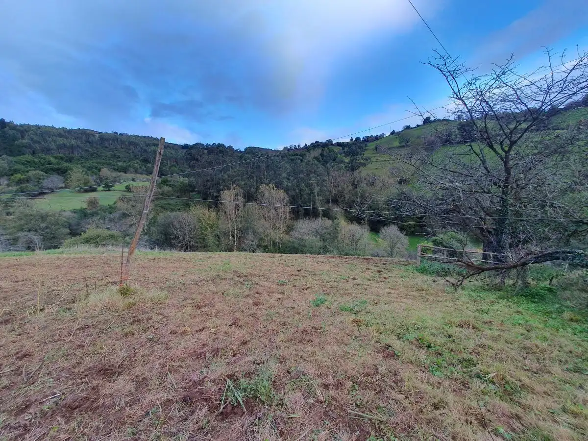 Terreny residencial en venda a Candamo, imagen 5