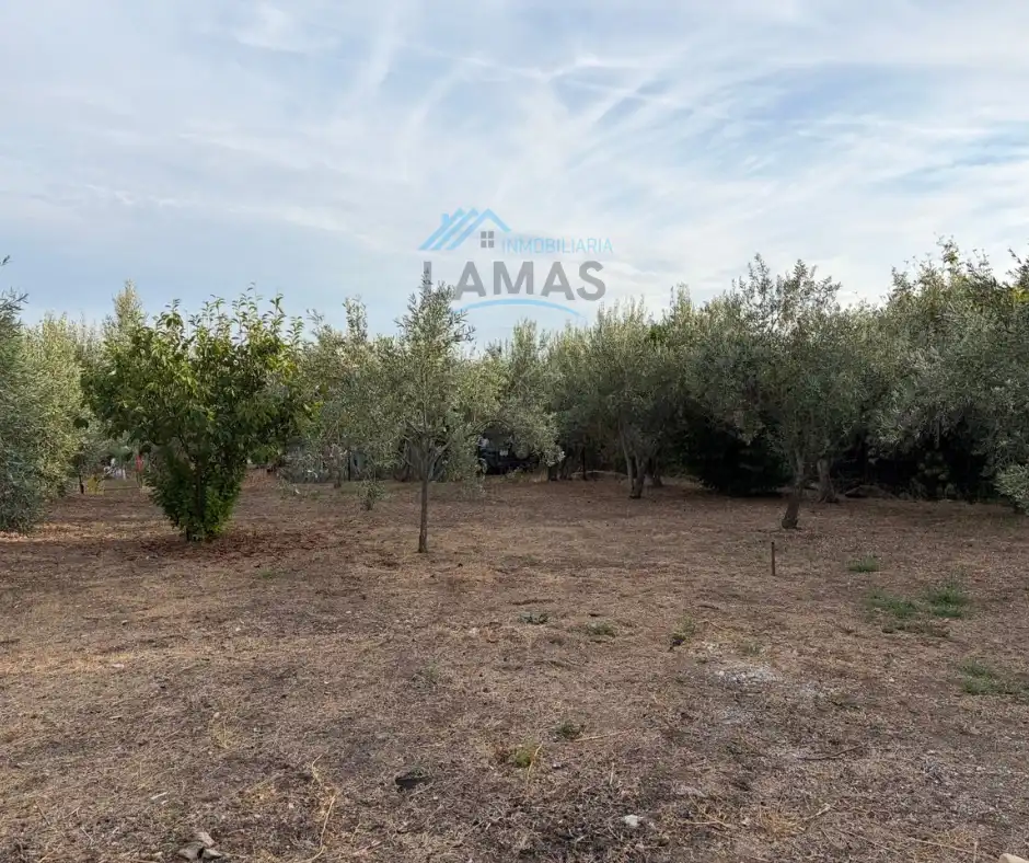 Terreno rústico en venta en Jarandilla de la Vera, imagen 27