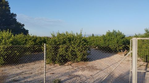 Foto 3 de Terreno en venta en Calle Campo Lindo, 1c, El Fenazar - Campotéjar, Molina de Segura