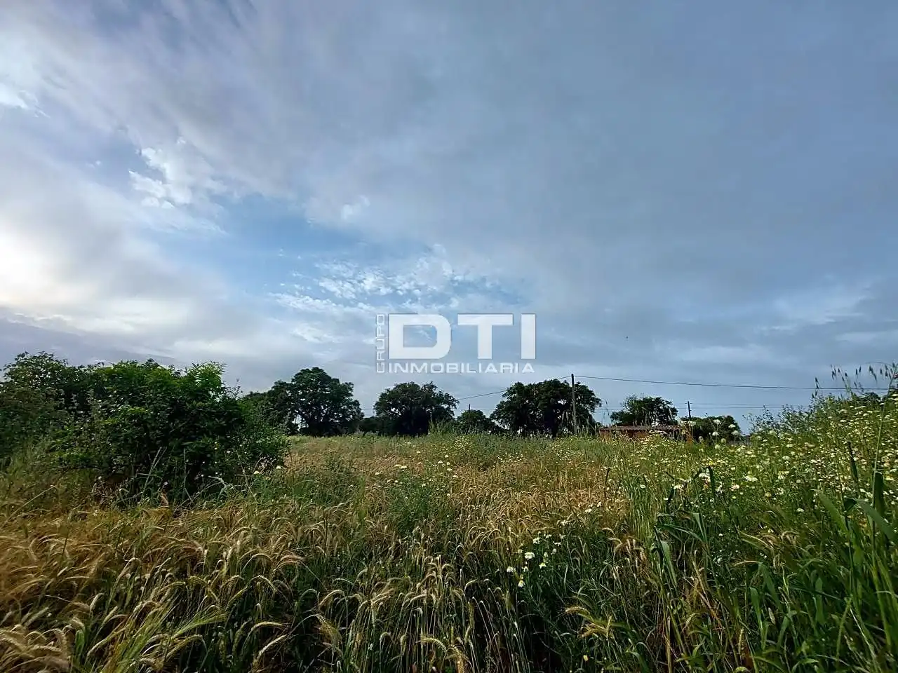Land for sale in San Bartolomé de la Torre