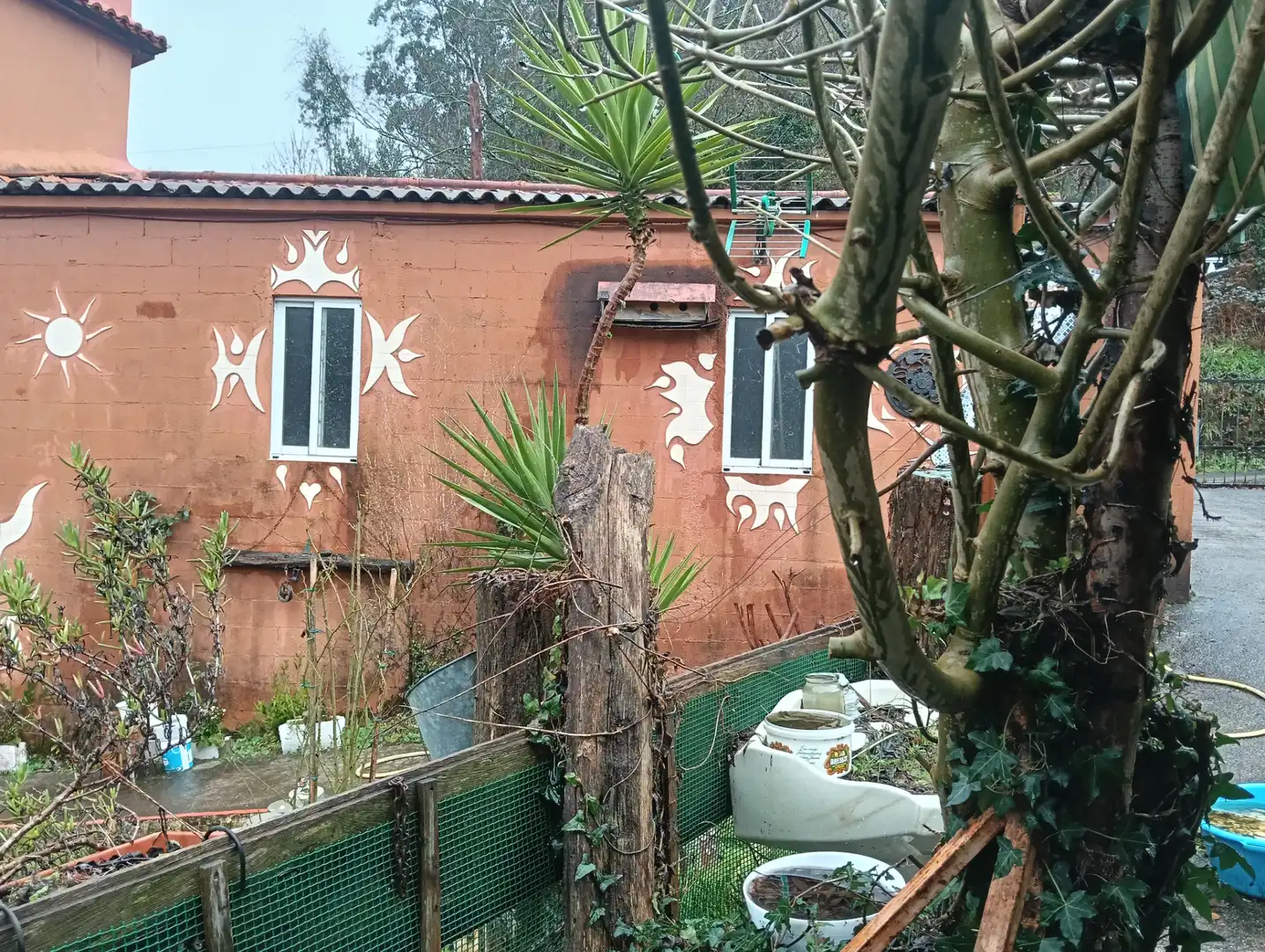 Adossat amb jardí en venda a Cesuras, imagen 5