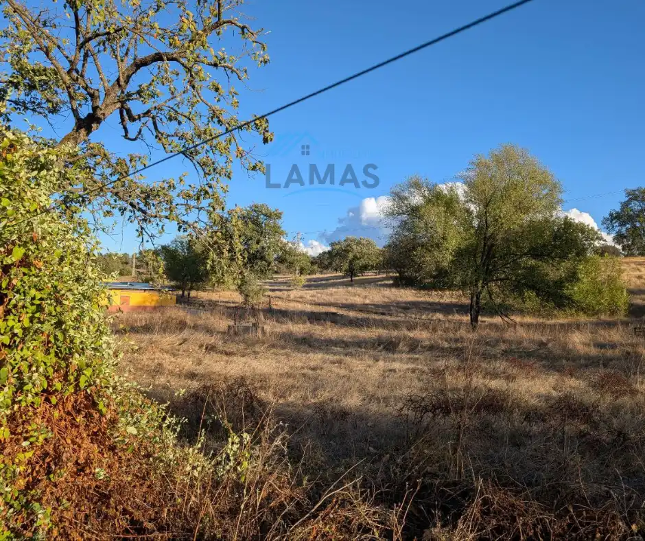 Casa rústica amb jardí en venda a Talayuela, imagen 19