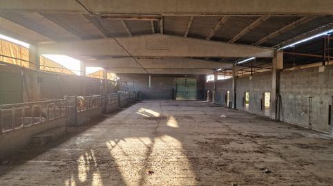 Foto 4 de Terreny en venda a L'Albagés, Lleida