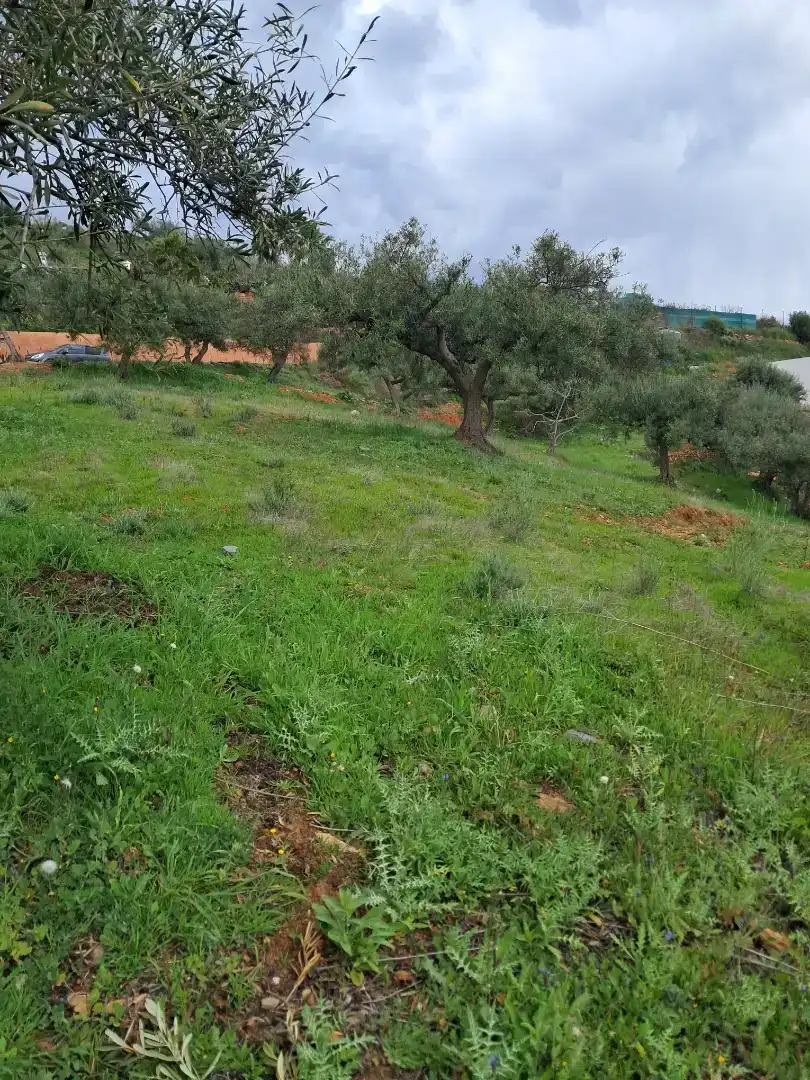 Finca rústica en venda en Almuñécar amb Traster, Moblat i Forn