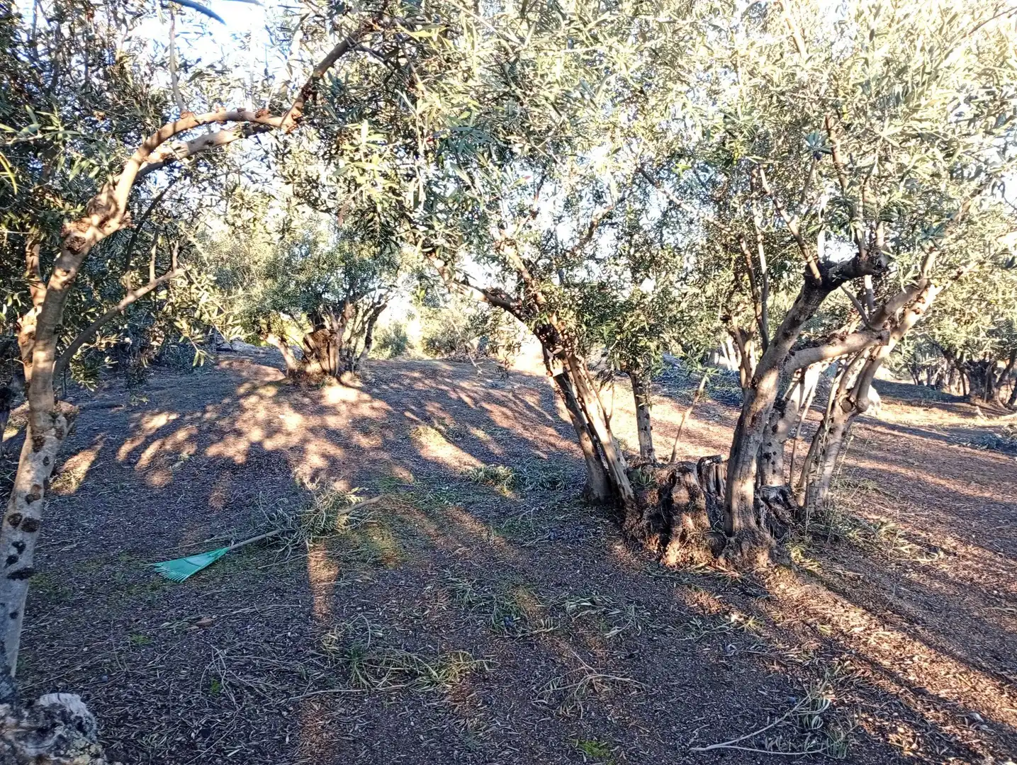 Terreni e lotti in vendita a Villanueva de la Vera, imagen 58