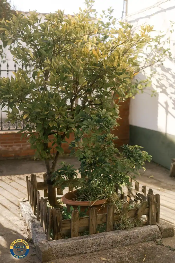 Jardín de Casa o chalet en venta en Don Benito con Aire acondicionado, Calefacción y Terraza