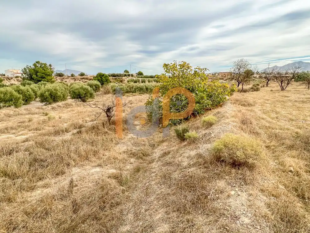 Terrain rustique à vendre à Huércal-Overa, imagen 6